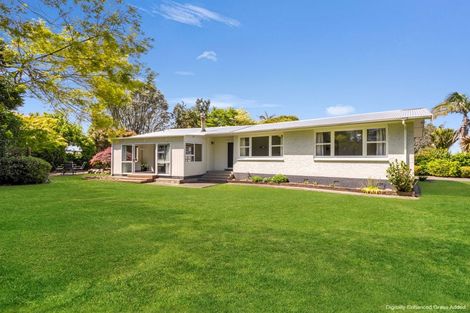 Photo of property in 81 College Road, Edgecumbe, 3120