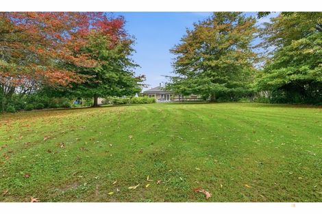 Photo of property in 82 Pye Road, Geraldine Downs, Geraldine, 7991