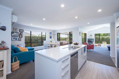 Photo of property in 24 Concordia Drive, Richmond, 7020