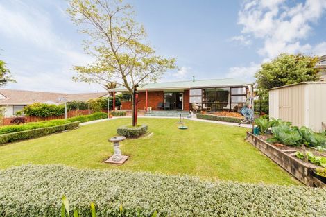 Photo of property in 23 Park View Avenue, Feilding, 4702