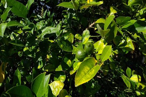 Photo of property in 30b Bleakhouse Road, Howick, Auckland, 2014