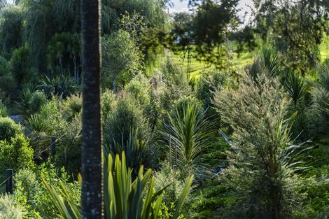 Photo of property in 45a Finlayson Road, Matarau, Kamo, 0176