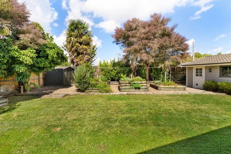 Photo of property in 71b Hall Street, Cambridge, 3434