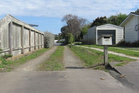 Photo of property in 107 Springvale Road, Springvale, Whanganui, 4501