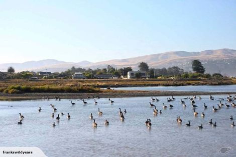 Photo of property in 55 Kibblewhite Street, New Brighton, Christchurch, 8061