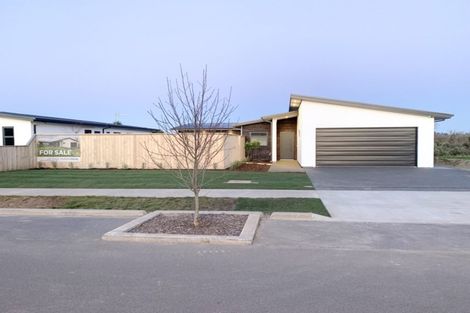 Photo of property in 10 Pegasus Main Street, Pegasus, 7612