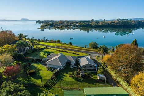 Photo of property in 293 Plummers Point Road, Whakamarama, Tauranga, 3172