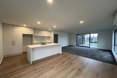 Photo of property in 20 Edlin Lane, Pegasus, 7612