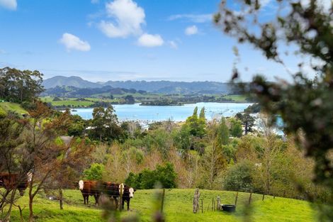 Photo of property in 28 Brick Bay Drive, Sandspit, Warkworth, 0982