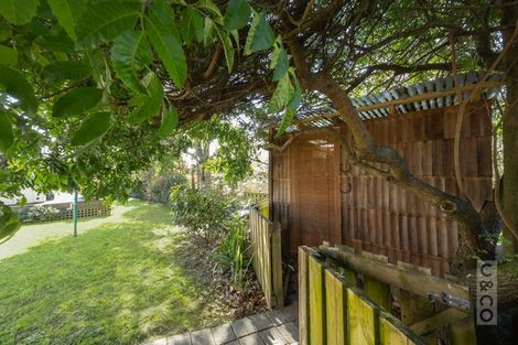 Photo of property in 19 Solan Drive, Waimauku, 0812