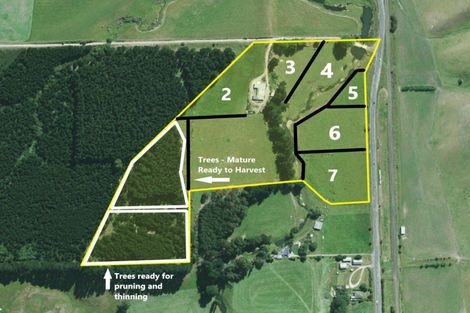 Photo of property in 21 Patterson Road, Goodwood, Palmerston, 9481