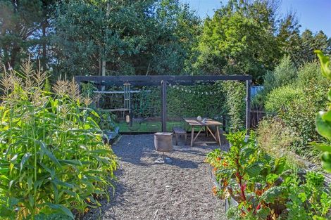 Photo of property in 50c Church Street, Oxford, 7430