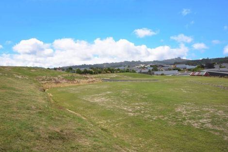 Photo of property in 45 Awa Toru Drive, Fairfield, Dunedin, 9018