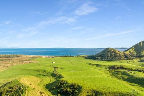 Photo of property in 550 Black Jack Road, Opito Bay, Whitianga, 3592