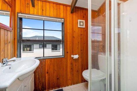 Photo of property in 486 Richardson Road, Mount Roskill, Auckland, 1041