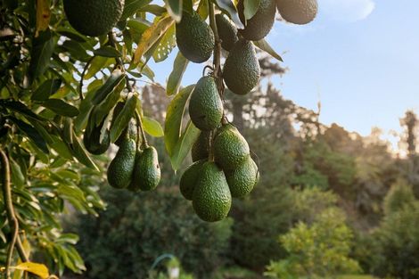 Photo of property in 108 Lochhead Road, Te Puna, Tauranga, 3176