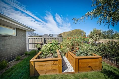 Photo of property in 16 Hungerford Drive, Rolleston, 7615