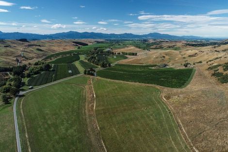 Photo of property in 287 Barracks Road, Hawkesbury, Renwick, 7272