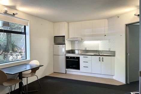 Photo of property in 20 Park Avenue, Grafton, Auckland, 1023
