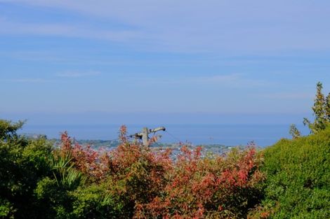 Photo of property in 77 Oakwood Avenue, Maryhill, Dunedin, 9011