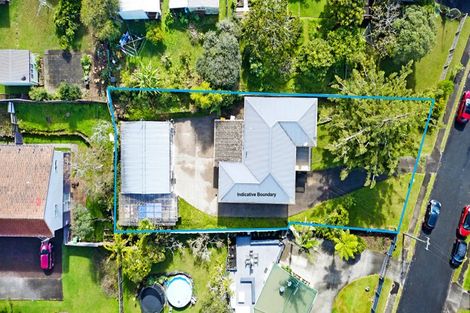 Photo of property in 27 Kohekohe Street, New Lynn, Auckland, 0600