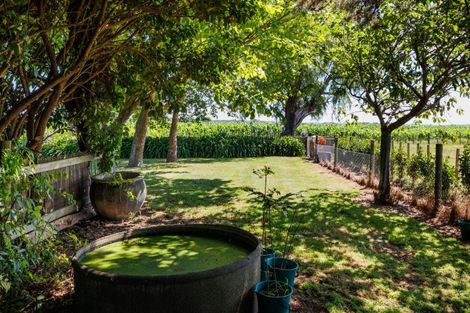 Photo of property in 807 Kaimatarau Road, Rongotea, Palmerston North, 4473