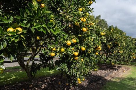 Photo of property in 6 Okura Drive, Kerikeri, 0230