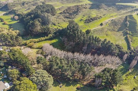 Photo of property in 91 Holmwood Road, Kaitoke, Whanganui, 4572