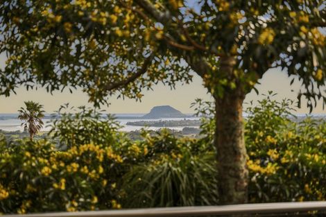 Photo of property in 20 Dawn View Place, Minden, Tauranga, 3176