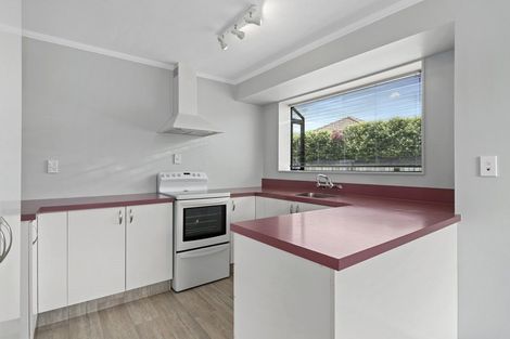 Photo of property in 13 Albizia Place, Richmond, 7020