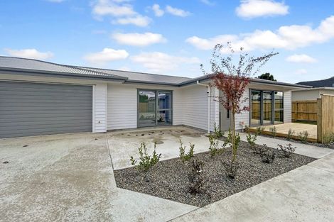 Photo of property in 420b Tremaine Avenue, Takaro, Palmerston North, 4412