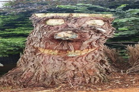 Photo of property in 42a Kenmure Road, Belleknowes, Dunedin, 9011