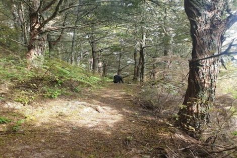 Photo of property in 5a Doctors Hill Road, Ruakaka, Waipu, 0582