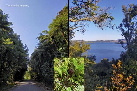 Photo of property in 21a Hamilton Road, Lake Rotoma, Rotorua, 3074