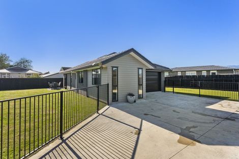 Photo of property in 68 Hinemoa Street, Levin, 5510