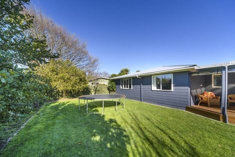 Photo of property in 21 Mokau Place, Terrace End, Palmerston North, 4410