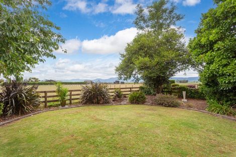 Photo of property in 19 Titoki Street, Matamata, 3400