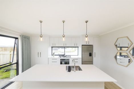 Photo of property in 202 Pacific Drive, Fitzherbert, Palmerston North, 4410