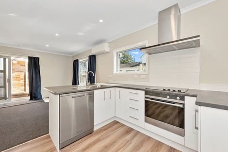 Photo of property in 330 Peachgrove Road, Fairfield, Hamilton, 3214