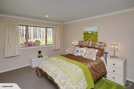 Photo of property in 72 Maindonalds Road, West Eyreton, Rangiora, 7475