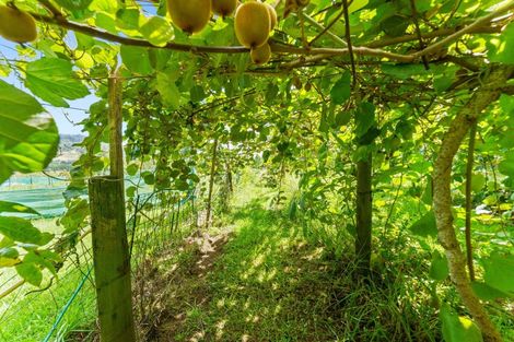 Photo of property in 664 State Highway 2, Tahawai, Katikati, 3170