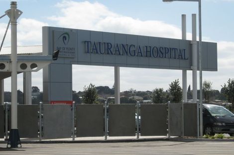 Photo of property in 49a Humber Crescent, Gate Pa, Tauranga, 3112