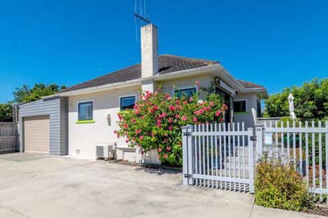 Photo of property in 64 Parker Avenue, Levin, 5510