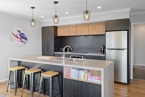 Photo of property in 17 Halpin Drive, Lincoln, 7608