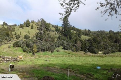 Photo of property in 431 Omanaia Road, Oue, Kaikohe, 0473