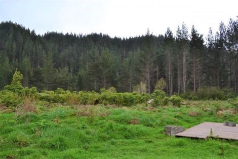 Photo of property in 867 Gladstone Road, Levin, 5571