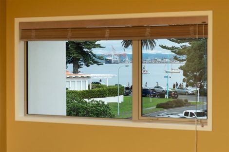 Photo of property in 7 Commons Avenue, Mount Maunganui, 3116