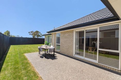 Photo of property in 49 Mills Road, Marshland, Christchurch, 8051