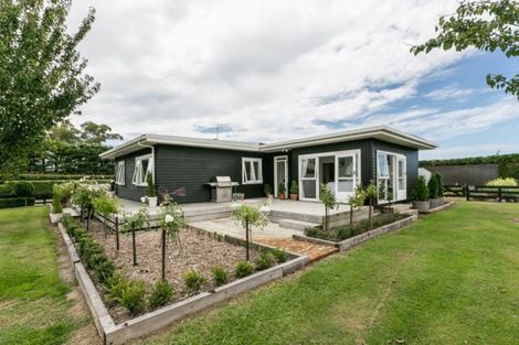 Photo of property in 391 Te Aute Road, Pukahu, Hastings, 4172