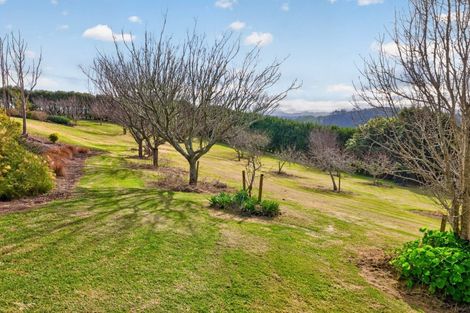 Photo of property in 157e Kaiate Falls Road, Waitao, Tauranga, 3175